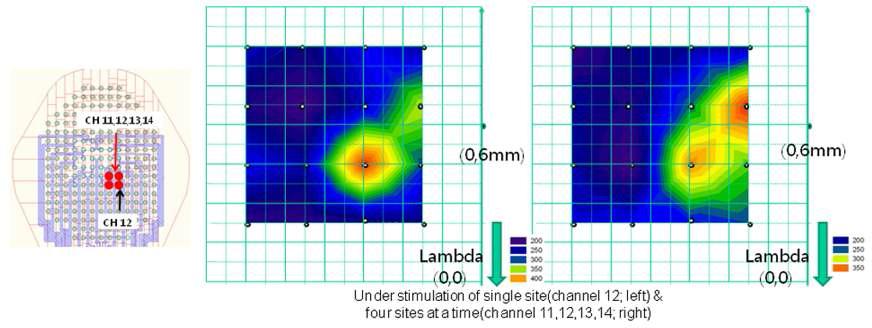 다채널동시기록시스템을 이용하여 측정한전기자극이 가해진 망막의 면적 차이에 따른 시피질전위 패턴 기록(P1 - N1 peak)