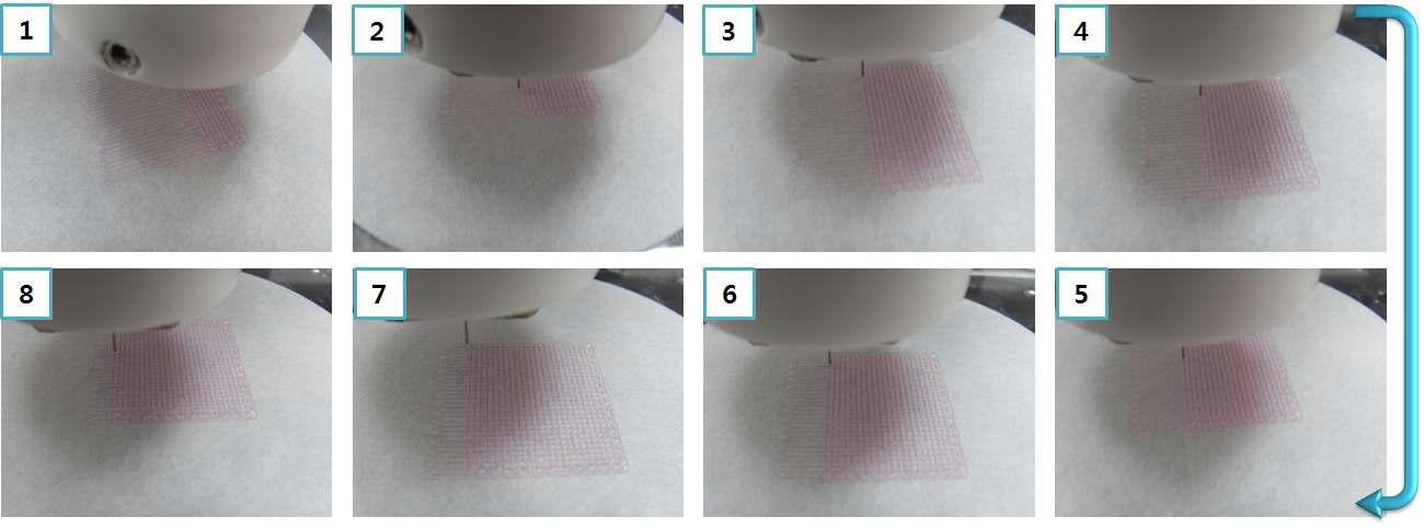 Alginate scaffold 제작 과정