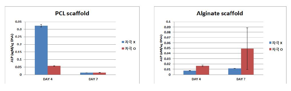 정량화된 ALP 활성도 분석 (좌) PCL scaffold (우) Alginate scaffold