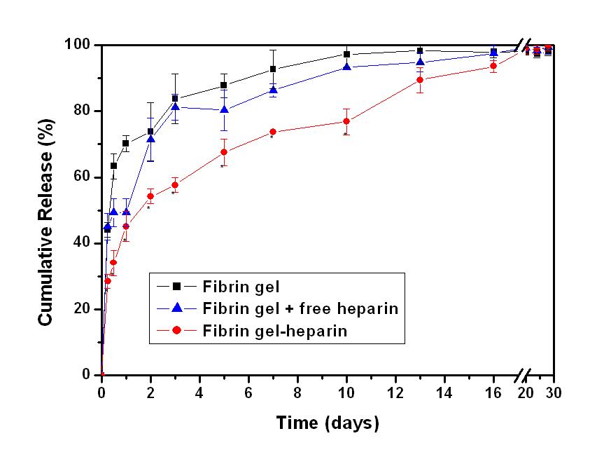 헤파린이 결합된 Fibrin gel의 bFGF 서방형 전달 능력