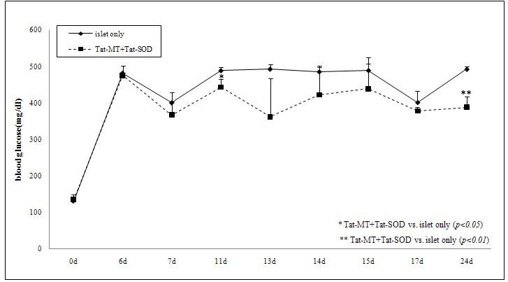 Tat-MT, Tat-SOD 처리한 췌도 이식후 혈당변화