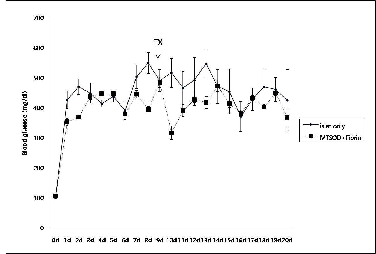 항산화제와 fibrin gel을 이식한 SD rat의 혈당변화