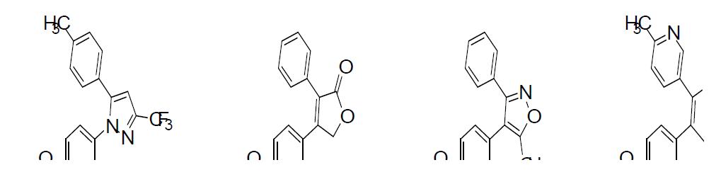 선택적인 COX-2 저해제