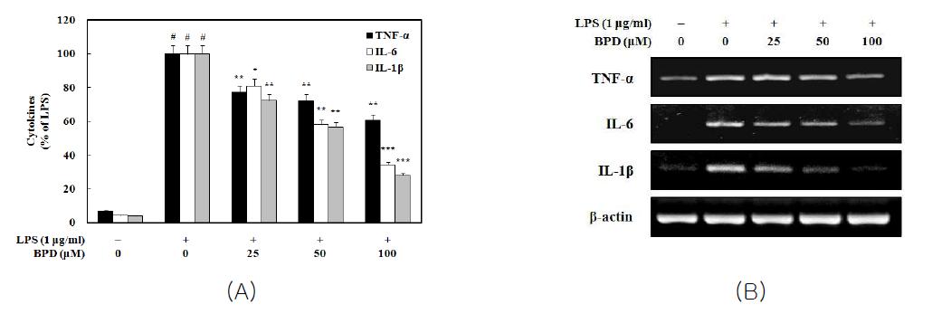 Inhibition of MCR3004 (BPD) on LPS-induced cytokine production (A) and their expression (B)