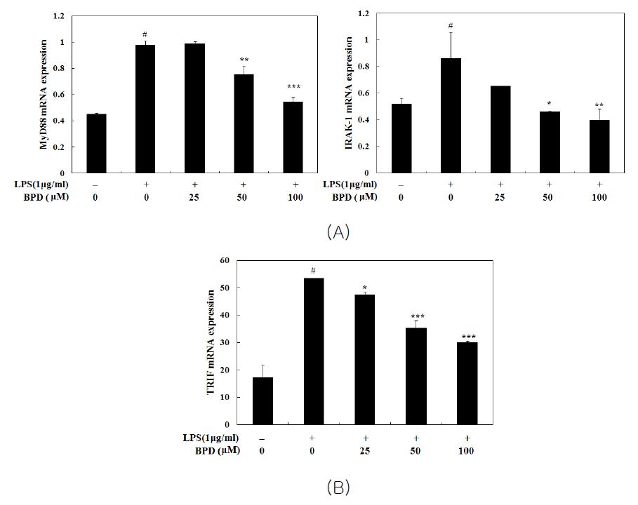 Inhibition of MCR3004 (BPD) on LPS-induced mRNA expression of MyD88 and IRAK1 (A) and TRIF (B)