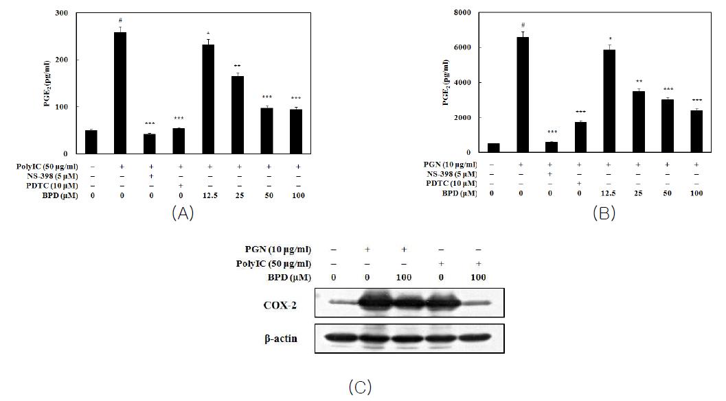 Inhibition of MCR3004 (BPD) on poly(I:C) or peptidoglycan-induced PGE2 production (A and B) and COX-2 expression (C)