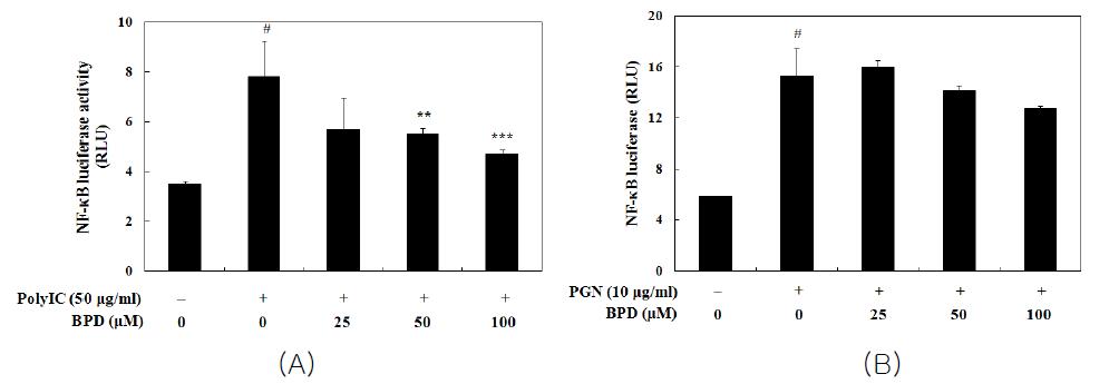 Inhibition of MCR3004 (BPD) on poly(I:C) (A) or peptidoglycan-induced NF-κB trancriptional activity (B)