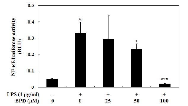 Inhibition of MCR3004 (BPD) on NF-κB transcriptional activity