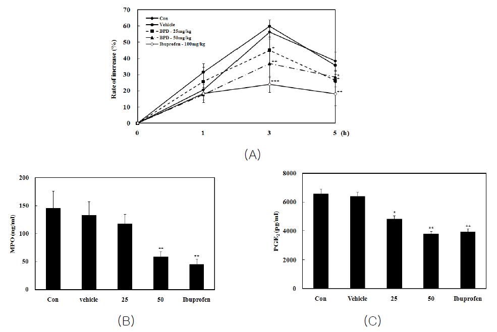 Anti-inflammatory effects of MCR3004 (BPD) in carrageenan-induced paw edema (A) and MPO (B) and PGE2 (C) production