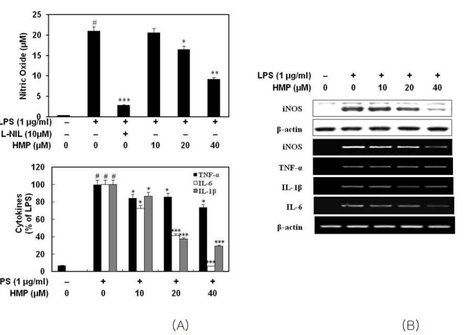 Effect of MCR 3019 on LPS-induced production of NO and cytokines (A) and their expressions (B)