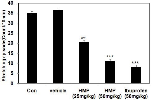 Anti-nociceptive effects of MCR3019 (HMP)in acetic acid-induced writhing test