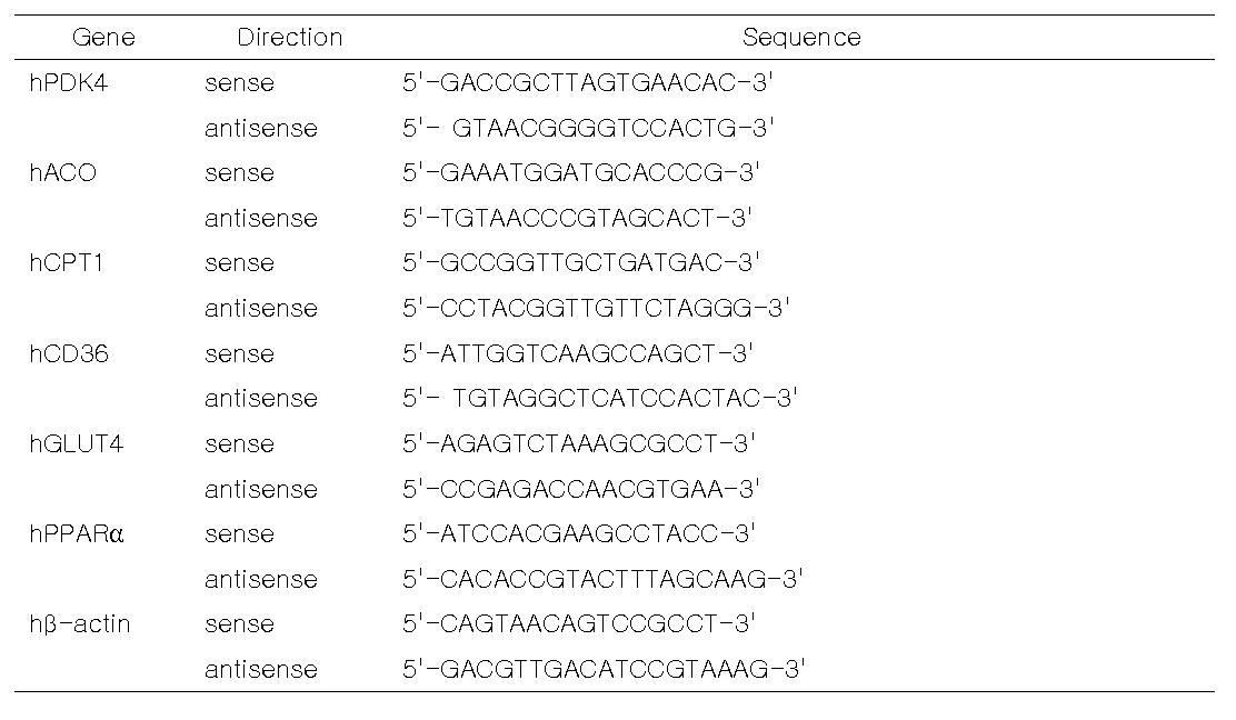 포도당/지방산 대사관련 및 심장 기능 진단 유전자 발현측정을 위한 primer sequence