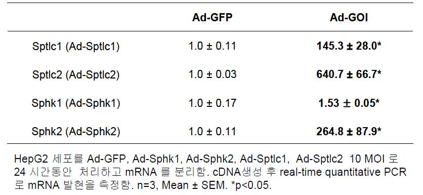 HepG2 세포에서 아데노바이러스에 의한 Sptlc1, Sptlc2, Sphk1, Sphk2의mRNA 과발현