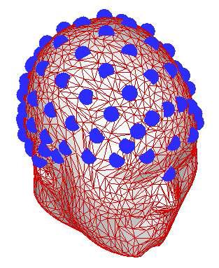 전극 좌표계를 두피 표면에 projection한 결과.