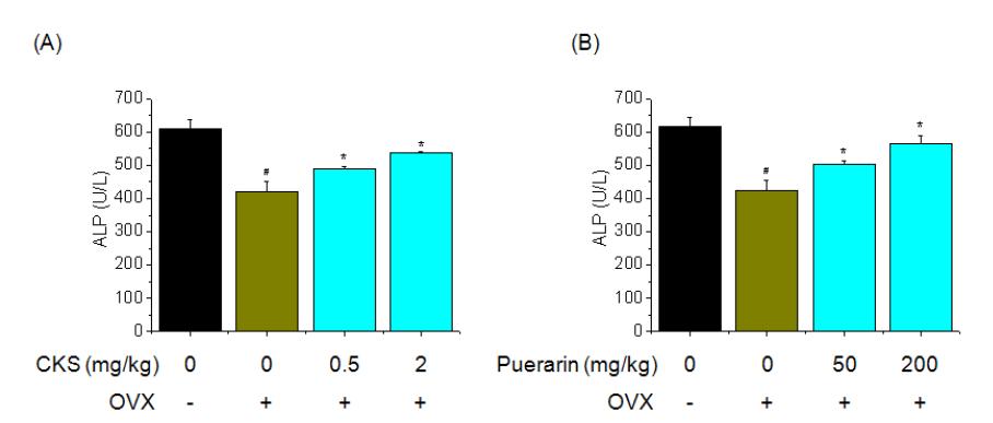 Effect of CKS or Puerarin on serum ALP levels were assessed by ALP kit. Three weeks after surgery, ovariectomized mice fed on CKS or Puerarin group was orally administered at a dose of 0.5 and 2 mg/kg or 50 and 200 mg/kg and control group was orally administered saline. The serum ALP level was used as markers of bone formation. Each value represents the mean ± SD of five mice. #P<0.05, significantly different from the sham group, *P<0.05, significantly different from the OVX group.