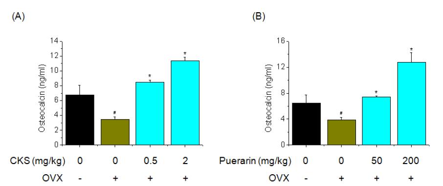 Effect of CKS or Puerarin on serum osteocalcin levels were assessed by osteocalcin ELISA. Three weeks after surgery, ovariectomized mice fed on CKS or Puerarin group was orally administered at a dose of 0.5 and 2 mg/kg or 50 and 200 mg/kg and control group was orally administered saline. The serum osteocalcin level was used as markers of bone formation. Each value represents the mean ± SD of five mice. #P<0.05, significantly different from the sham group, *P<0.05, significantly different from the OVX group.