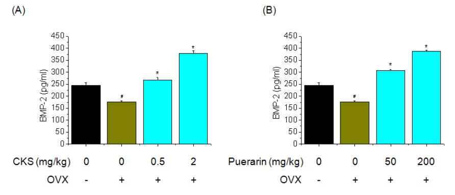 Effect of CKS or Puerarin on serum BMP-2 levels were assessed by BMP-2 ELISA. Three weeks after surgery, ovariectomized mice fed on CKS or Puerarin group was orally administered at a dose of 0.5 and 2 mg/kg or 50 and 200 mg/kg and control group was orally administered saline. The serum BMP-2 level was used as markers of bone formation. Each value represents the mean ± SD of five mice. #P<0.05, significantly different from the sham group, *P<0.05, significantly different from the OVX group.