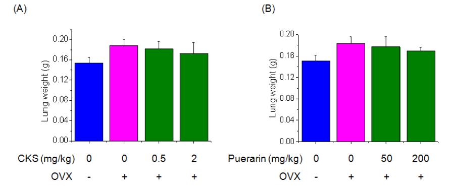 Effect of CKS or Puerarin on lung weights were assessed by weighing machine. Three weeks after surgery, ovariectomized mice fed on CKS or Puerarin group was orally administered at a dose of 0.5 and 2 mg/kg or 50 and 200 mg/kg and control group was orally administered saline. Each value represents the mean ± SD of five mice. #P<0.05, significantly different from the sham group, *P<0.05, significantly different from the OVX group.