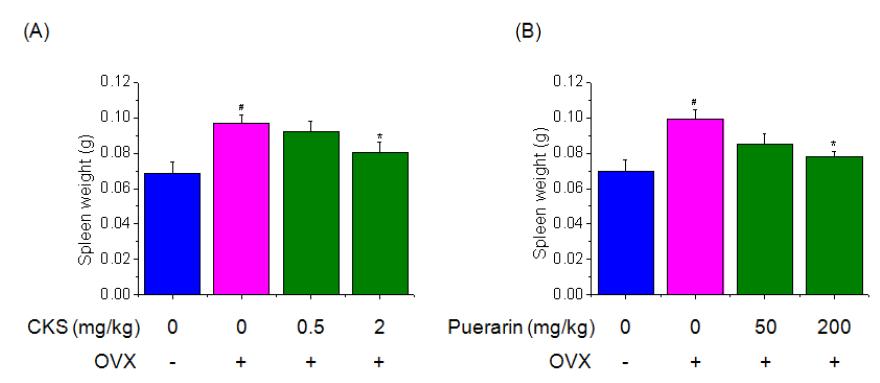 Effect of CKS or Puerarin on spleen weights were assessed by weighing machine. Three weeks after surgery, ovariectomized mice fed on CKS or Puerarin group was orally administered at a dose of 0.5 and 2 mg/kg or 50 and 200 mg/kg and control group was orally administered saline. Each value represents the mean ± SD of five mice. #P<0.05, significantly different from the sham group, *P<0.05, significantly different from the OVX group.