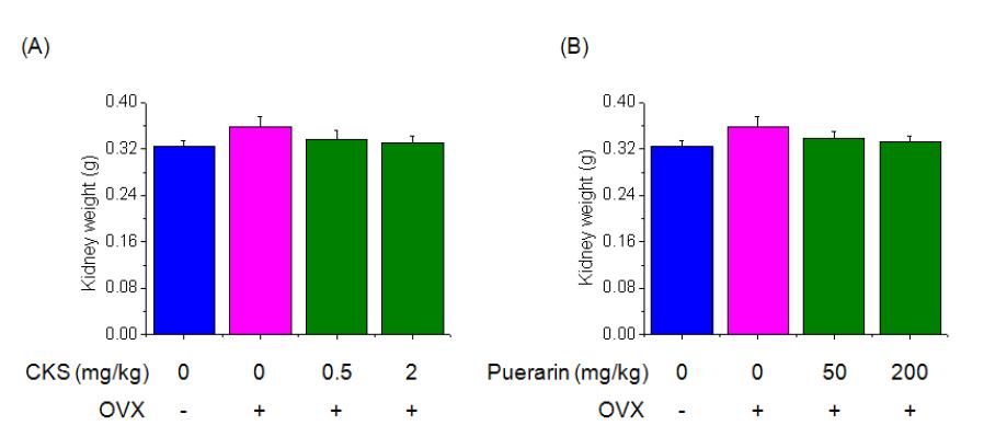 Effect of CKS or Puerarin on kidney weights were assessed by by weighing machine. Three weeks after surgery, ovariectomized mice fed on CKS or Puerarin group was orally administered at a dose of 0.5 and 2 mg/kg or 50 and 200 mg/kg and control group was orally administered saline. Each value represents the mean ± SD of five mice. #P<0.05, significantly different from the sham group, *P<0.05, significantly different from the OVX group.