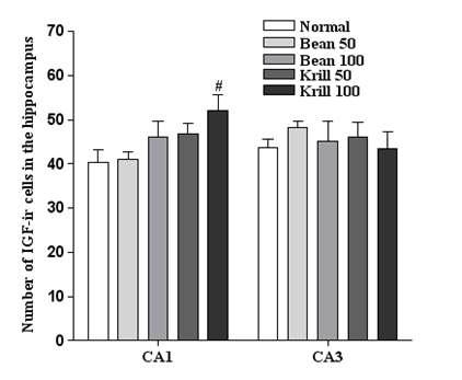 The expression of IGF in the hippocampal CA1