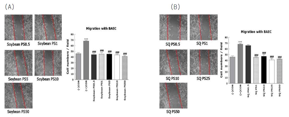 Effect of Soybean PS and Squid PS on cell migration in BAEC cells.