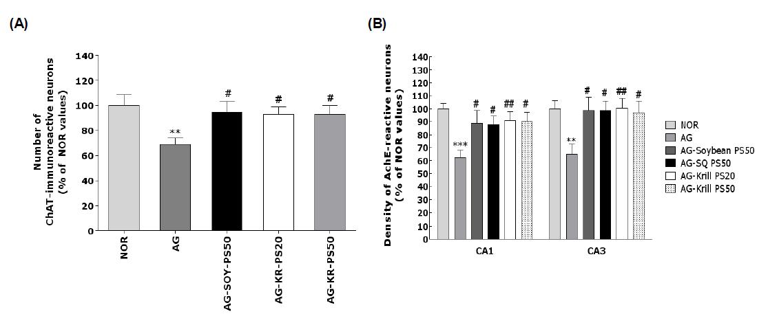 Representative photographs showing the distribution of choline acetyltransferase (A)and acetylcholinesterase (B) reactive cells in the hippocampus.