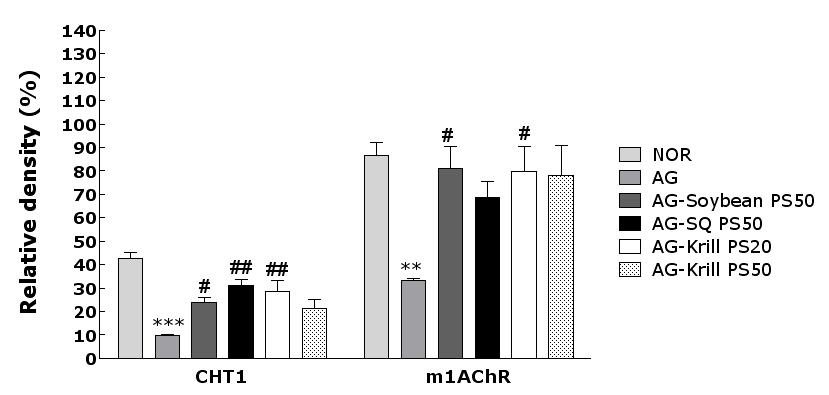 The PCR relative intensities for the choline transporter and muscarinic acetylchoine receptor type 1 in the hippocampus of rats that received aged rats.