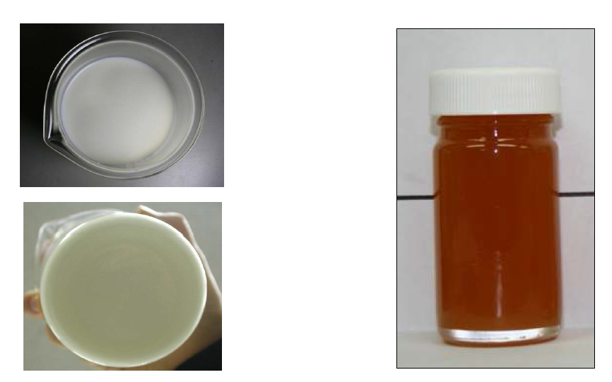 krill PS 유화 제형의 우유 적용 test 예 (5mg/100ml)