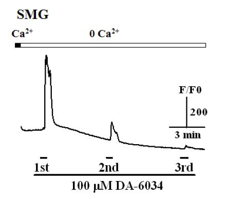 생쥐 악하선세포에서 DA-6034의 반복처치에 의한 칼슘신호유도