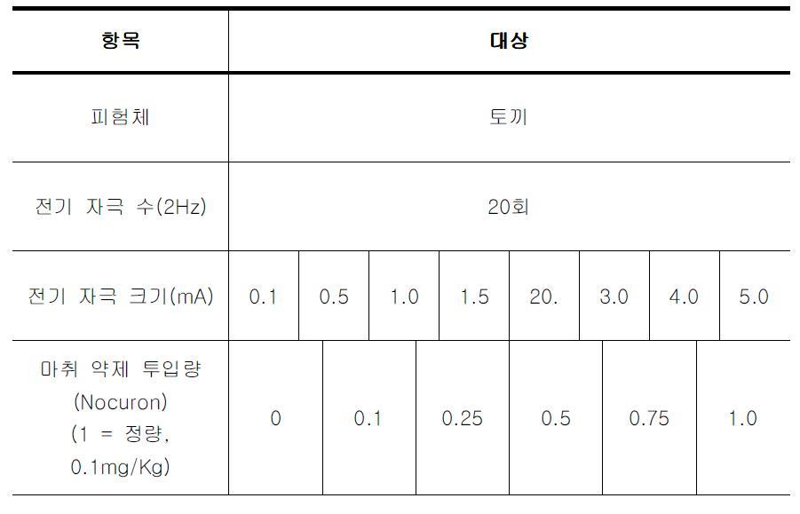 실험 과정