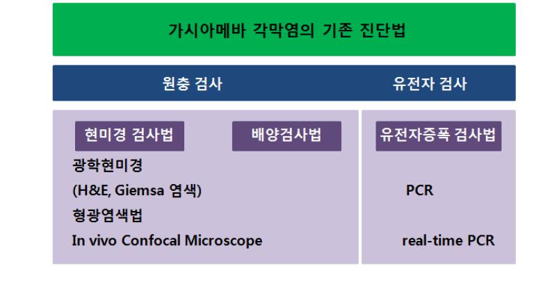 가시아메바 각막염의 기존 진단법.