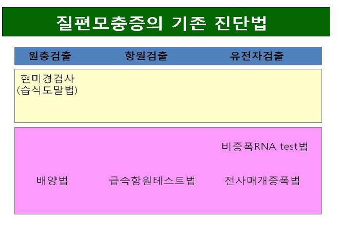 검출 대상에 따른 질편모충증의 기존 진단법.