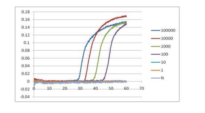 β-tubulin 유전자의 copy 수에 따른 실시간 LAMP 반응 곡선