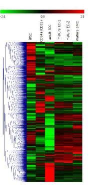 역분화 유도만능줄기세포 유래 분화세포의 차등발현 유전자 및 마커 선택을 위한microarray 실험 실시.