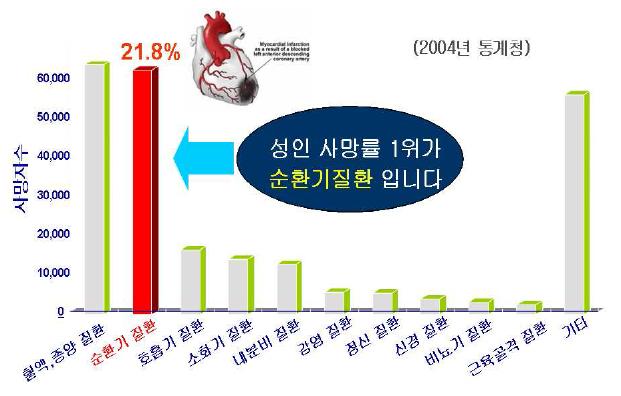 순환기질환과 성인사망률