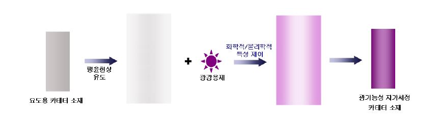 광기능성 자가멸균 카테터 소재의 제조 모식도