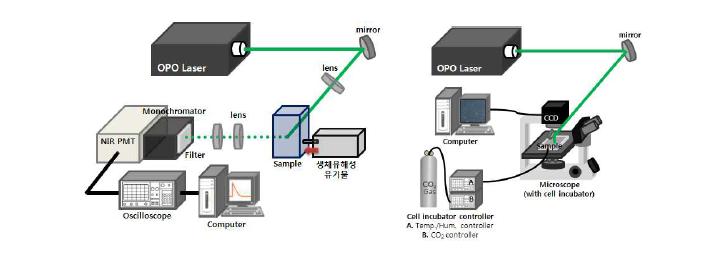 활성산소에 의한 유해성 생체물질 멸균 효율 실시간 분석 시스템.