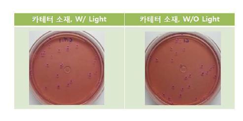 E.Coli 박테리아 광독성 Test