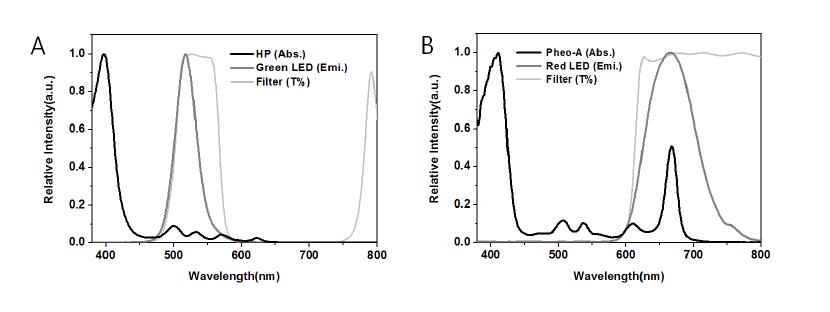 Green LED 시스템 (A), Red LED 시스템(B)의 발광 영역