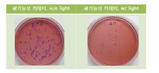 광기능성 카테터의 항균성 (활성산소 멸균능) 테스트