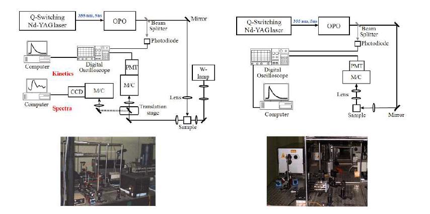 시간분해 순간 흡수 측정 시스템과 시간분해 형광 측정 시스템 모식도