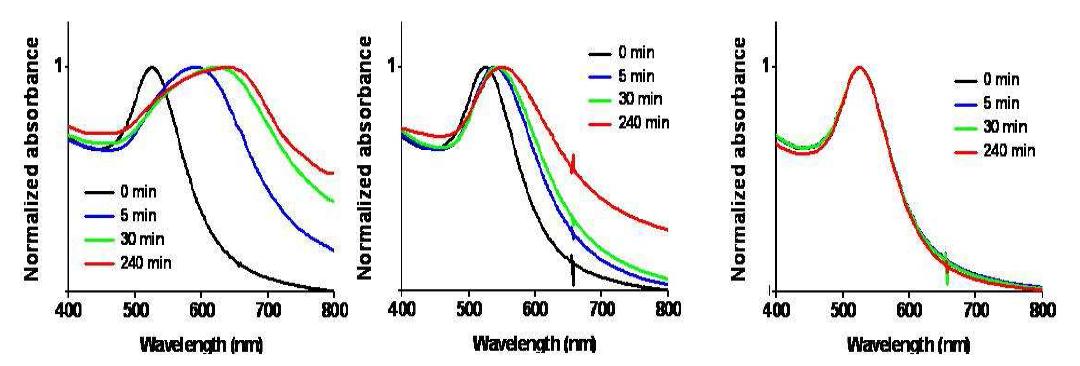 지능형 금 나노 입자와 Doxorubicin 의 결합체를 각각 pH 2.0 (좌측), pH 5.5 (중간), pH 7.4(우측) 조건에 노출시킨 후 시간에 따라 측정한 흡광 스펙트럼