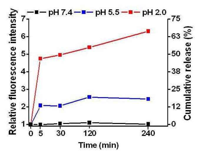 지능형 금 나노 입자와 Doxorubicin 의 결합체를 각각pH 2.0 (적색), pH 5.5 (청색), pH 7.4 (흑색) 조건에 노출시킨 후 시간에 따라 측정한 형광의 세기