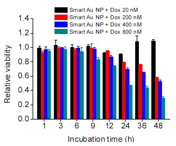 서로 다른 농도의 Doxorubicin 을 사용하여 형성한지능형 금 나노 입자 결합체를 함께 배양한 피부암 세포의 시간에 따른 세포 생존율 그래프