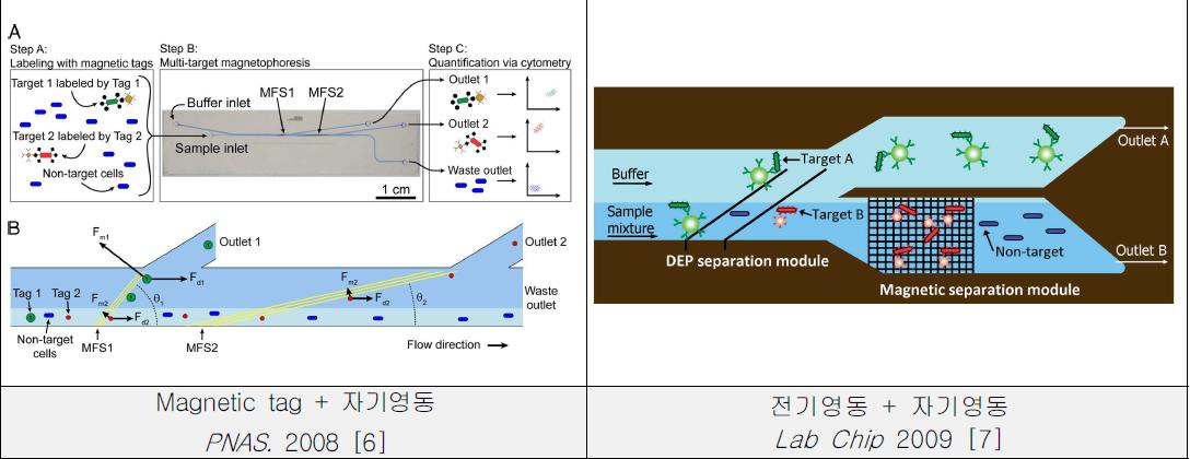 융합기술을 이용한 세포분리기술의 최근 주요연구 결과