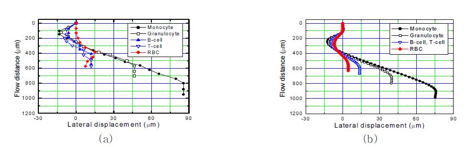 (a) 혈액세포의 측면방향변위의 측정값 (b) 이론적 계산 값