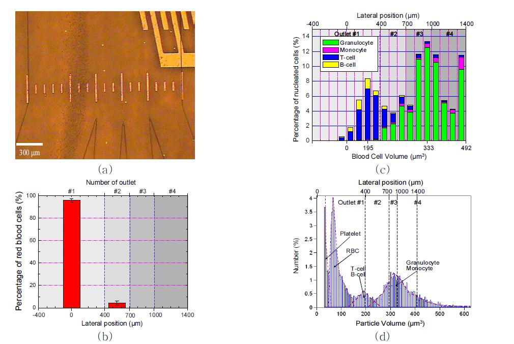 (a) 적혈구와 형광 표지된 백혈구가 크기에 따라 분리되는 모습. (b) 각각의 출구에서 측정 된 적혈구의 상대적 비율. (c) 100μm 구간마다 분리되는 T세포, B세포, 과립백혈구, 단핵 백혈구의 상대적 분리 비율. (d) Coulter counter를 이용하여 측정한 혈액 세포 크기에 따 른 분포도.