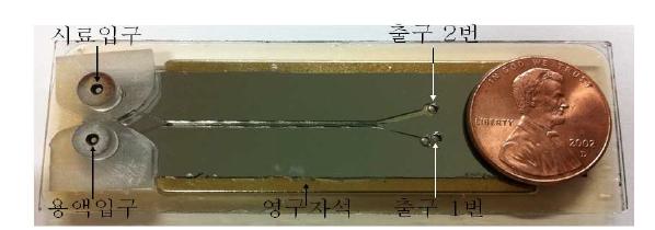 제작된 CTCs 분리기.