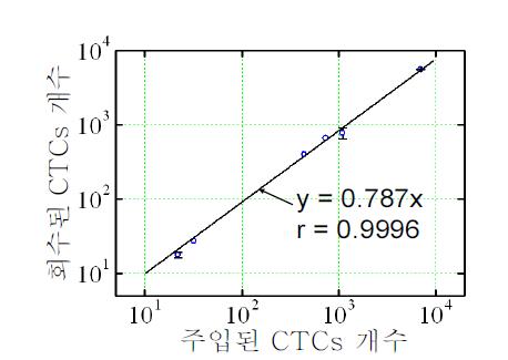 혈액 1 ml에 주입된 CTCs 개수에 대한 회수된 CTCs 개수